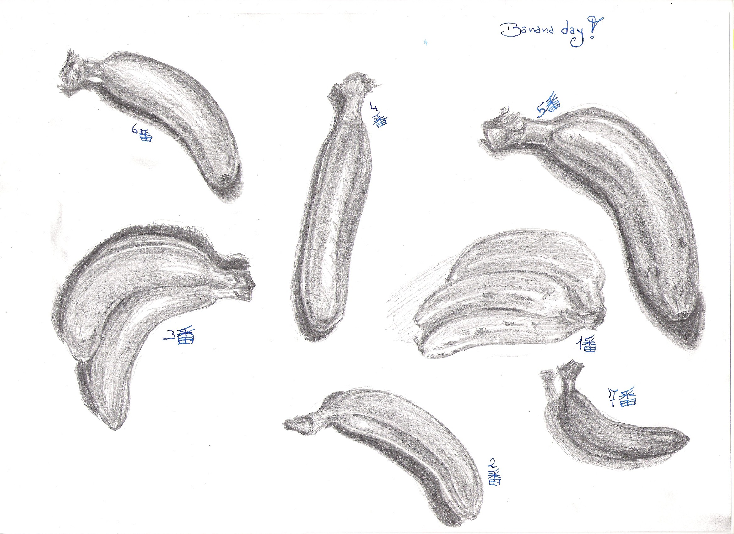 4-1-a-banaan – Colour Cow